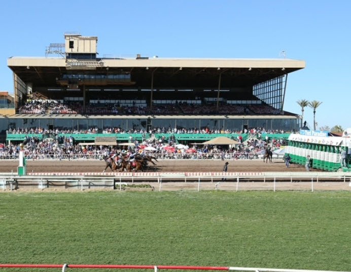 Turf Paradise, Arizona, USA